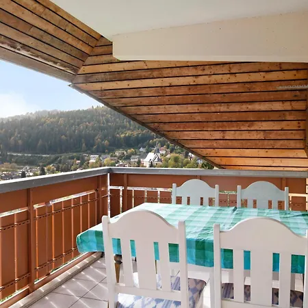 Panorama Appartement Todtmoos